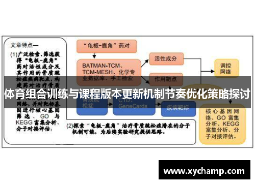 体育组合训练与课程版本更新机制节奏优化策略探讨