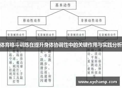 体育格斗训练在提升身体协调性中的关键作用与实践分析