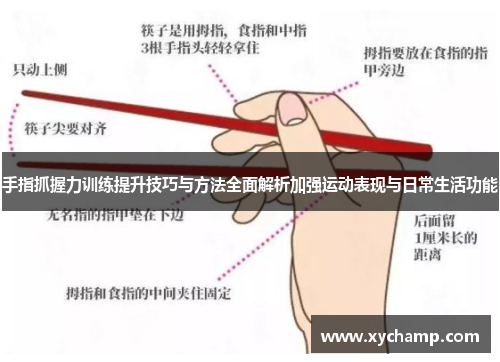 手指抓握力训练提升技巧与方法全面解析加强运动表现与日常生活功能